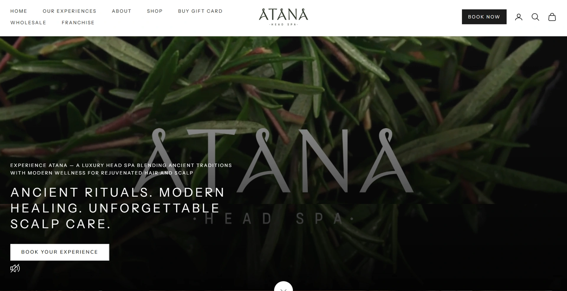 atana-headspa